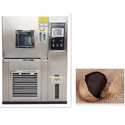 Macchine per la fermentazione dell'aglio nero per alimenti e bevande con una capacità di 100-480 kg/ora e grandi