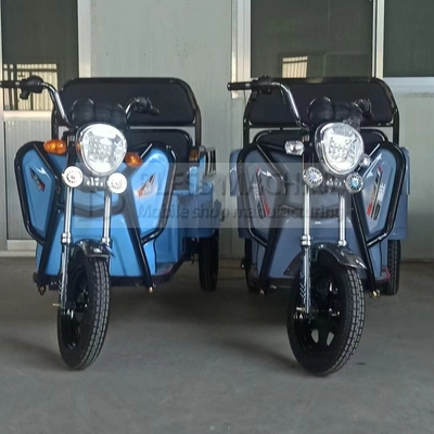 Triciclo moto elettrico polifunzionale con garanzia commerciale e acciaio galvanizzato