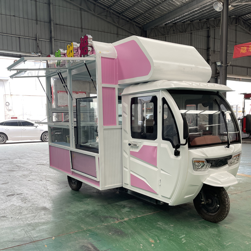 110v/220v Voltage Farms Multiuso Mobile Fast Food Elettrico Snack Triciclo Pedicab